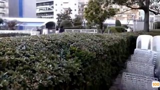 日本av日本av久久久午夜夜伦鲁鲁无码中文字幕